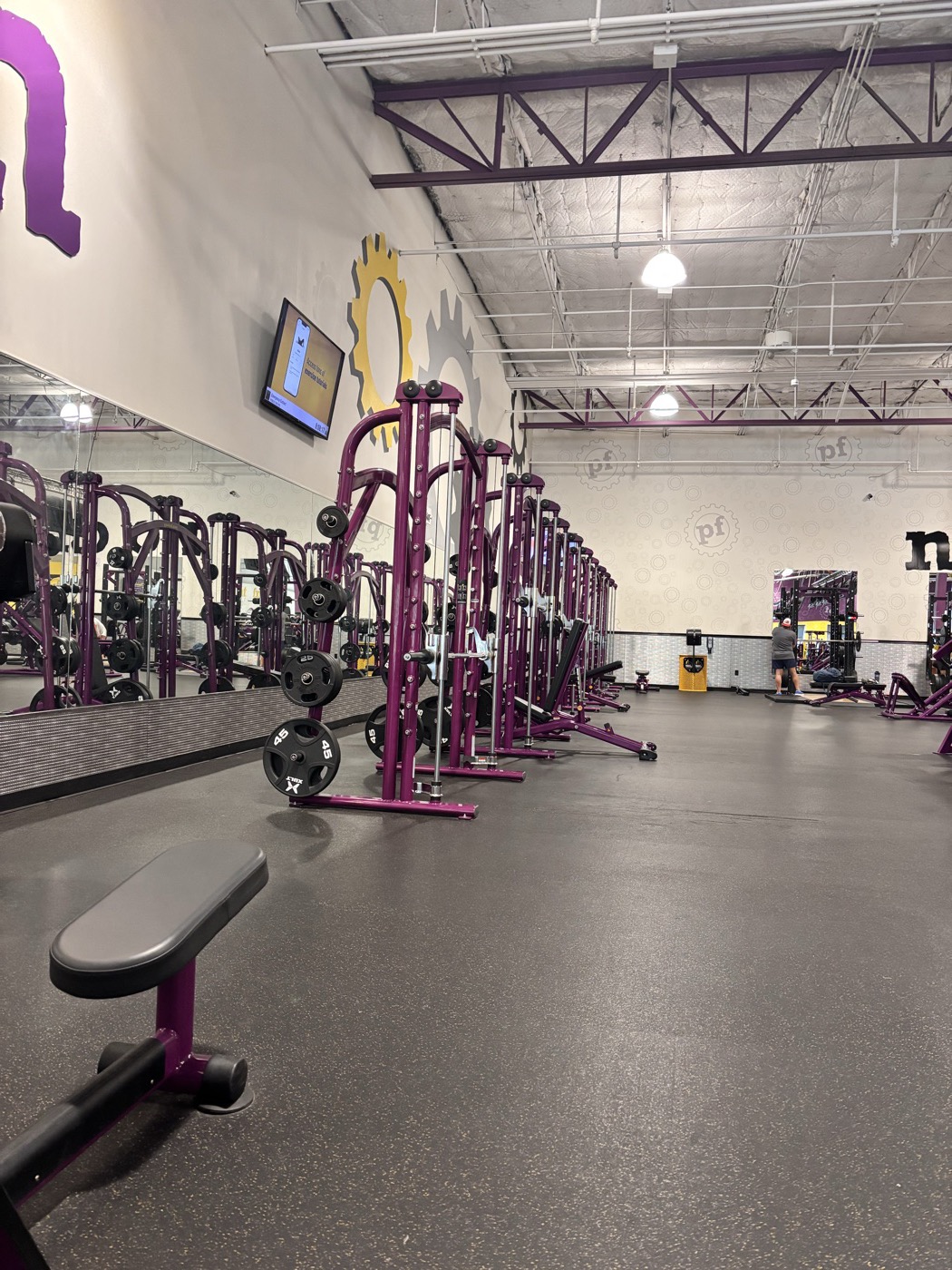 The weight floor at the ten-dollar-a-month gym